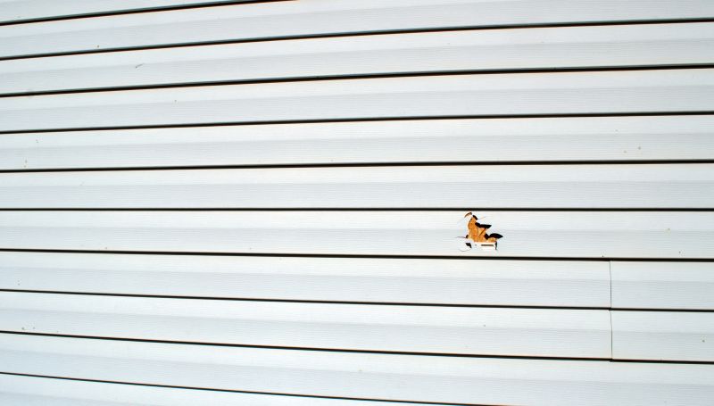 Inspecting Vinyl Siding